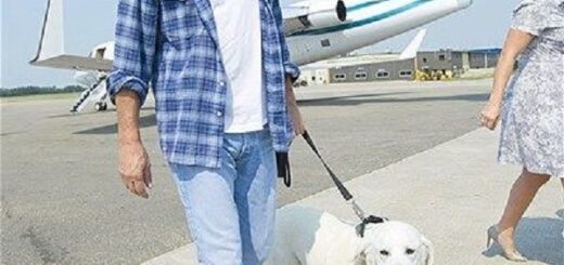 Kevin Costner’s Argument with His Dog Bob Has His Fans Yelling