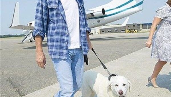 Kevin Costner’s Argument with His Dog Bob Has His Fans Yelling
